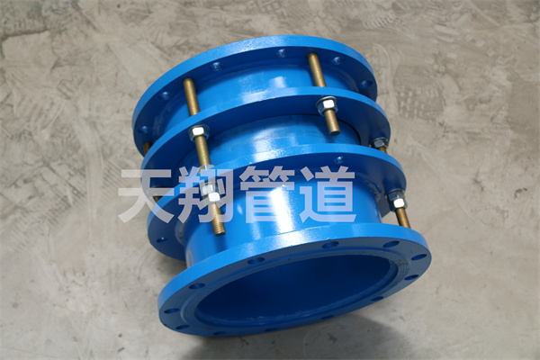 �L�������s���^