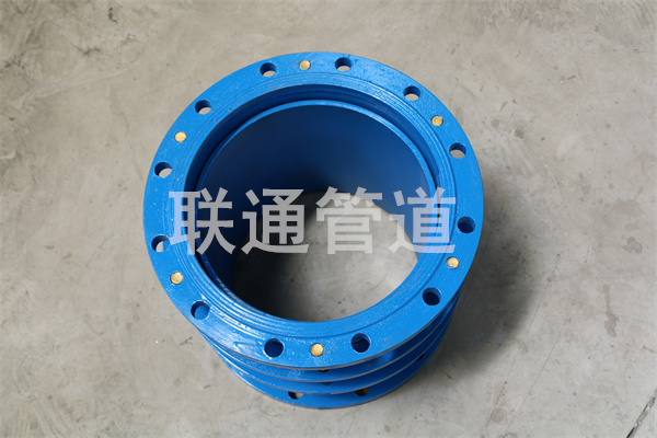 ���ɹ������s���^