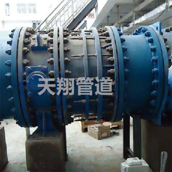 ������s���^